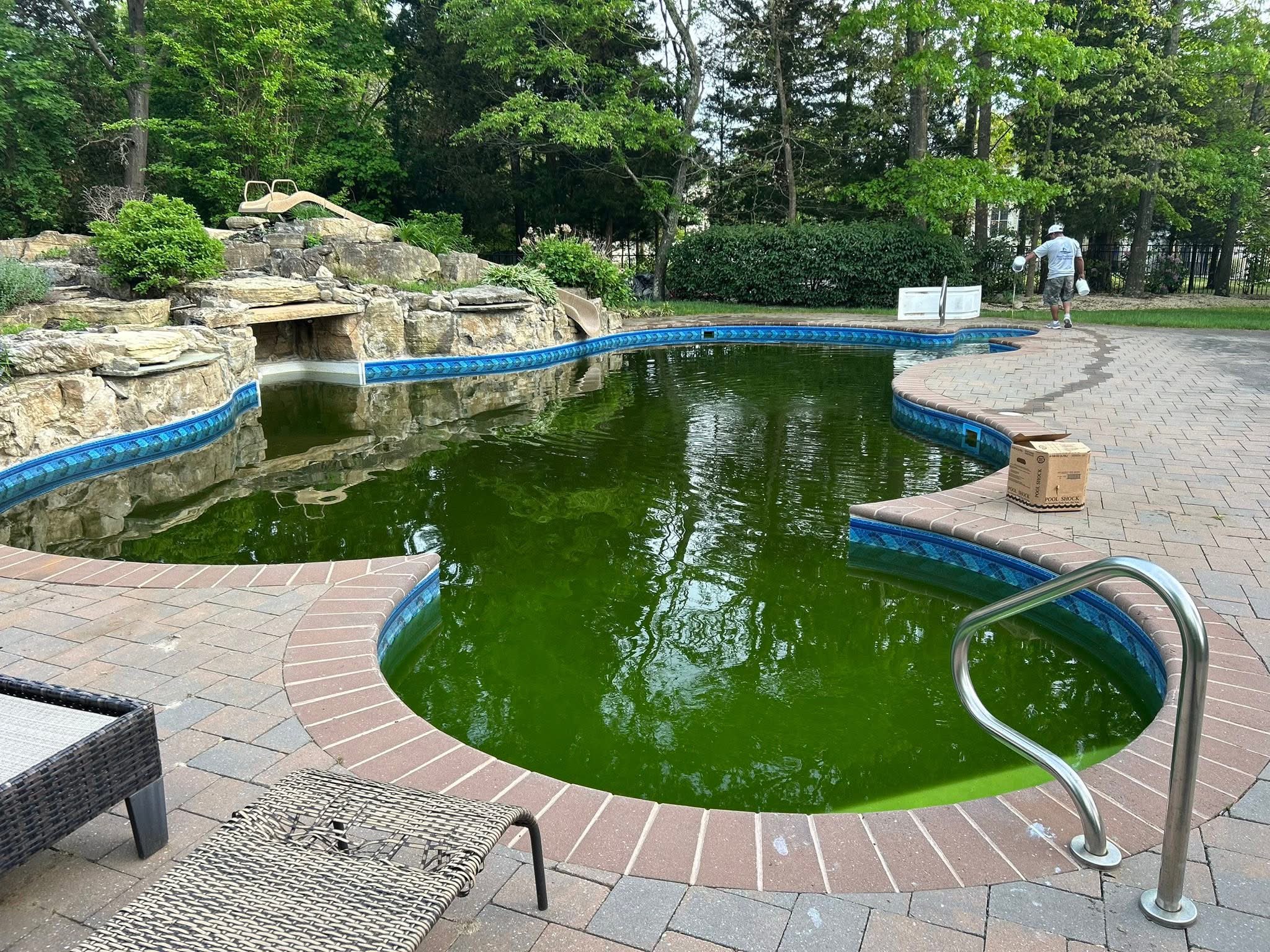Green algae-infested freeform pool with rock waterfall